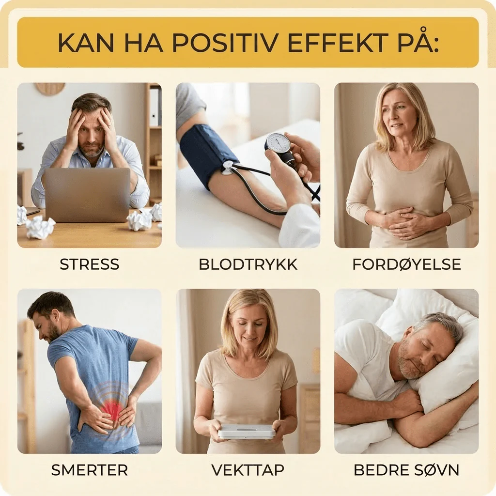 Produktbilde 12